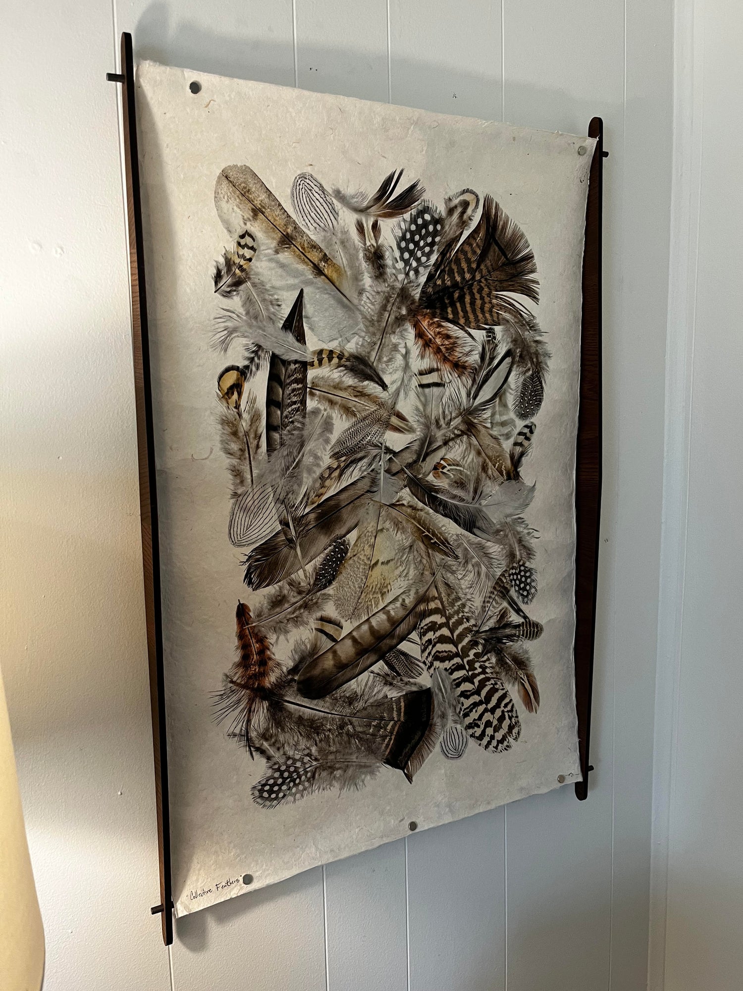 Collective Feathers