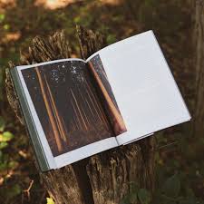 Forest: Tree Photography Book