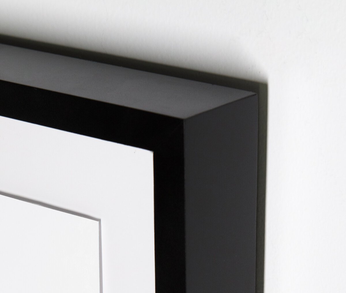 "Head On" Horse Capture