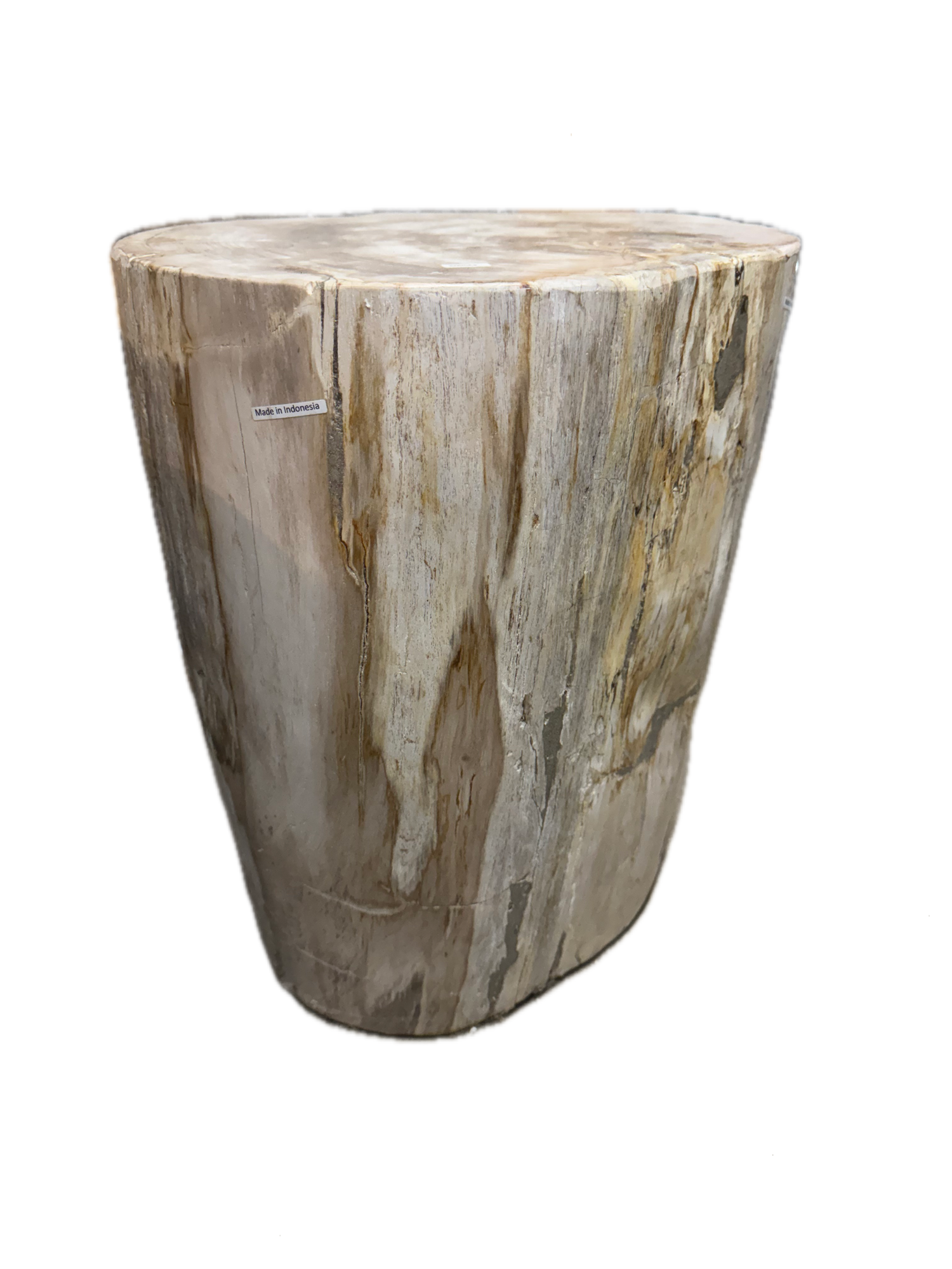 Petrified Side Table