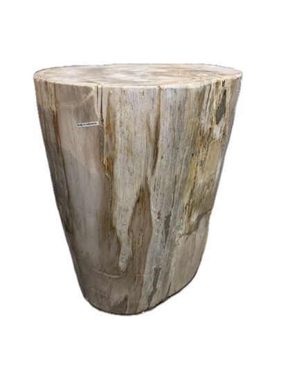 Petrified Side Table