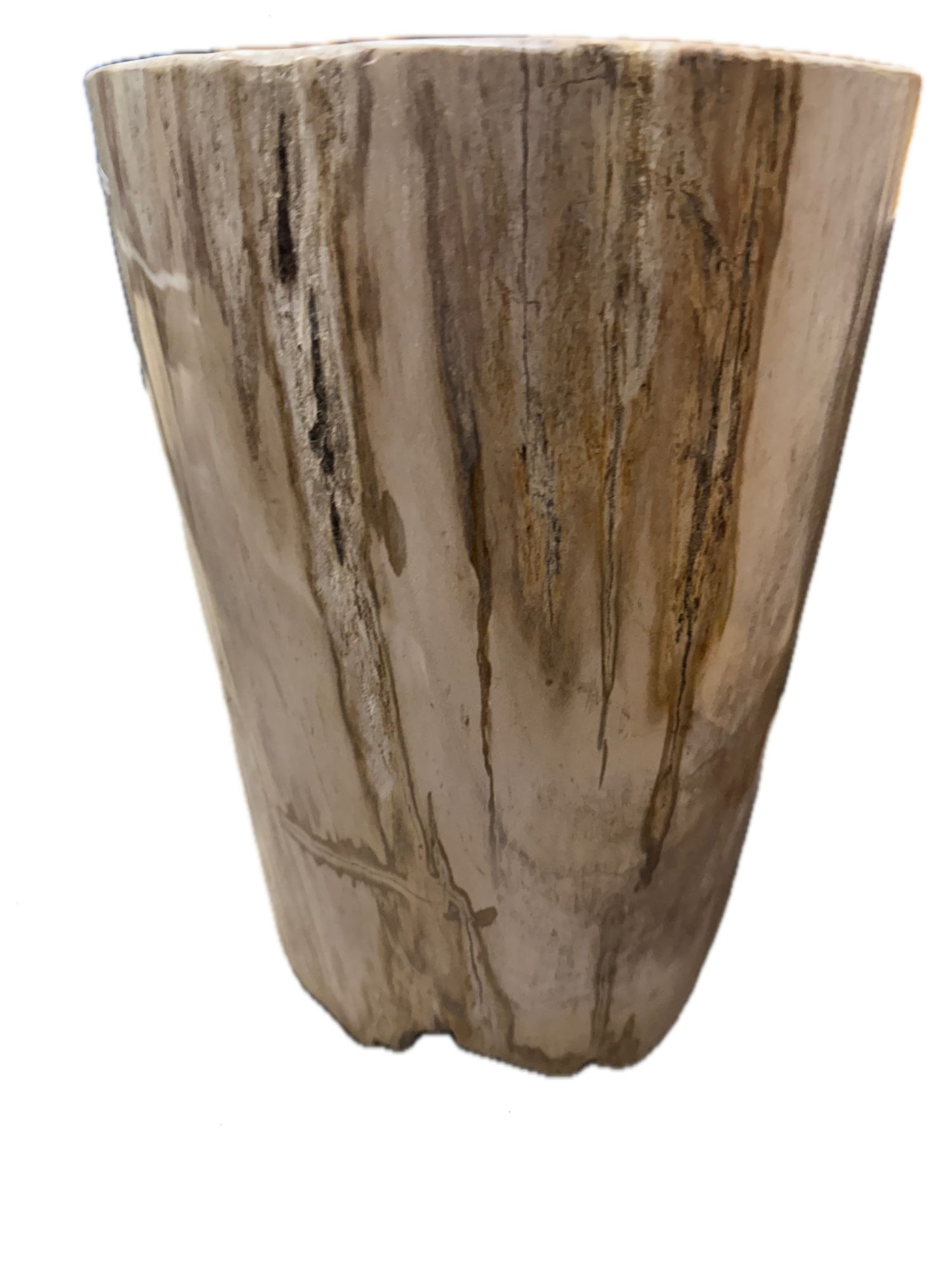 Petrified Side Table