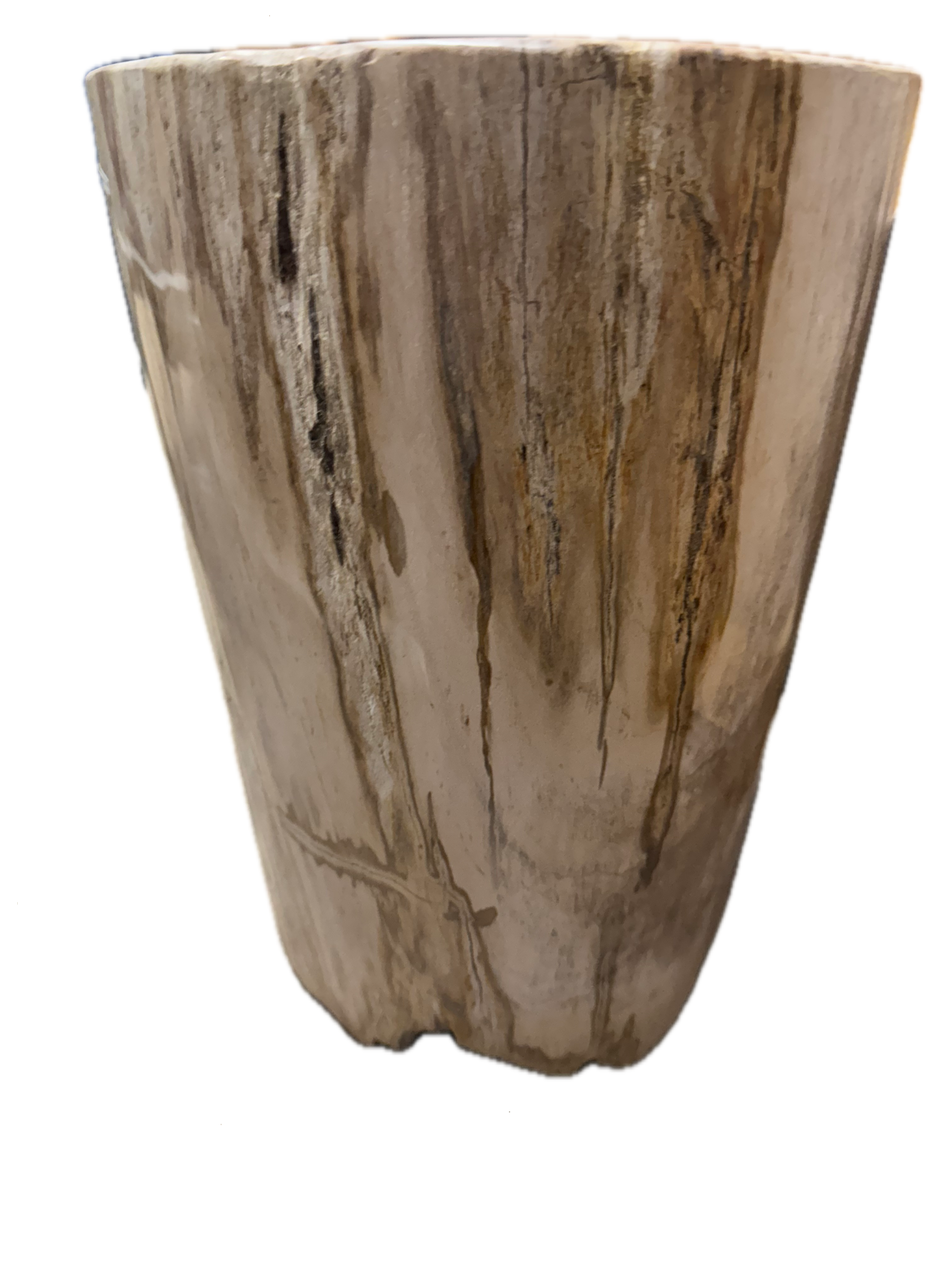 Petrified Side Table