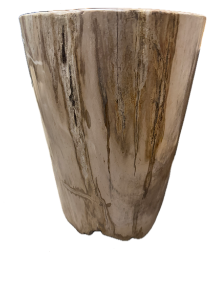 Petrified Side Table