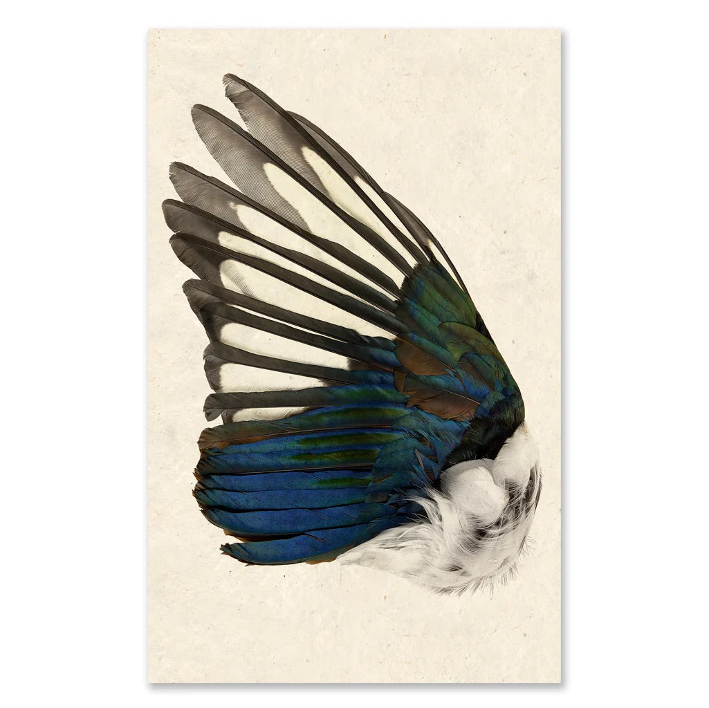 Magpie Wing Grand Format Art (Left Wing)