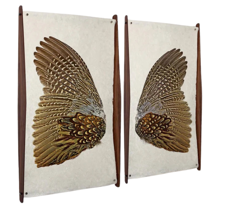 Ring Neck Pheasant Print Set- Grand Format