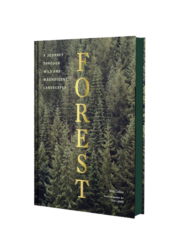 Forest: Tree Photography Book