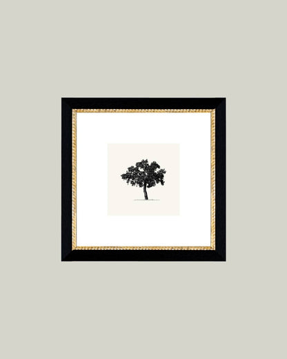 Tree Framed Antique Art: 15x15
