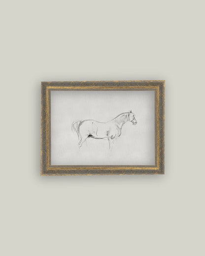 Horse Sketch Framed Antique Art: 7x5