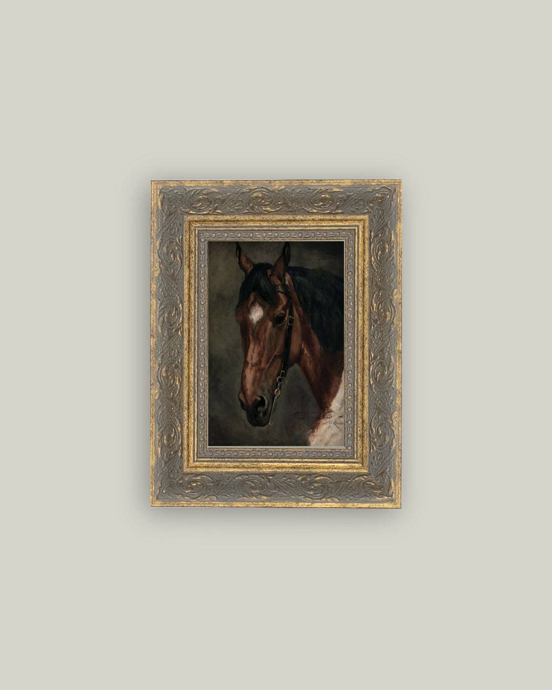 Horse Portrait: 5x7