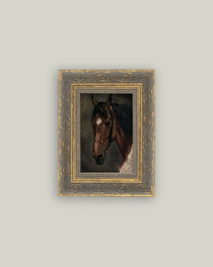 Horse Portrait: 5x7