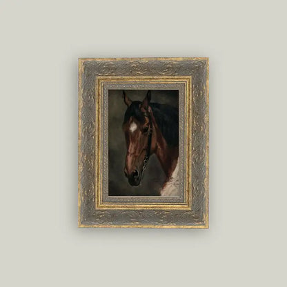 Framed Antique Prints and Photo Frames