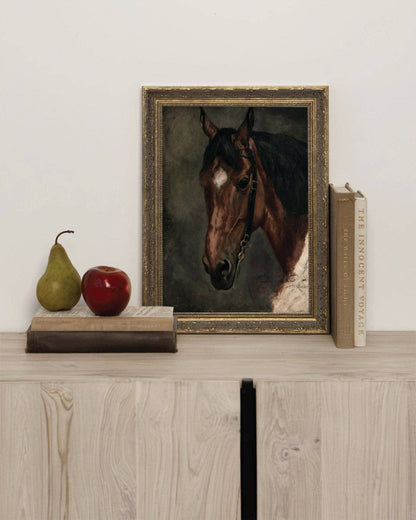 Horse Portrait: 5x7