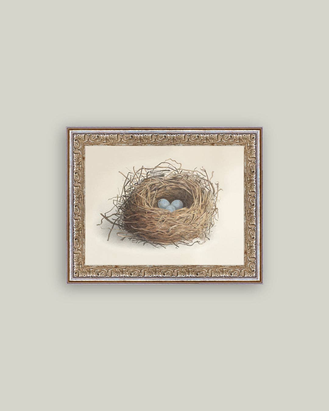 Blue Eggs in a Nest Framed Antique Art: 7x5