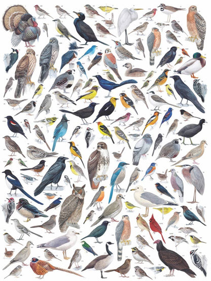 Birds of Western North America - 1000 Piece Jigsaw Puzzle