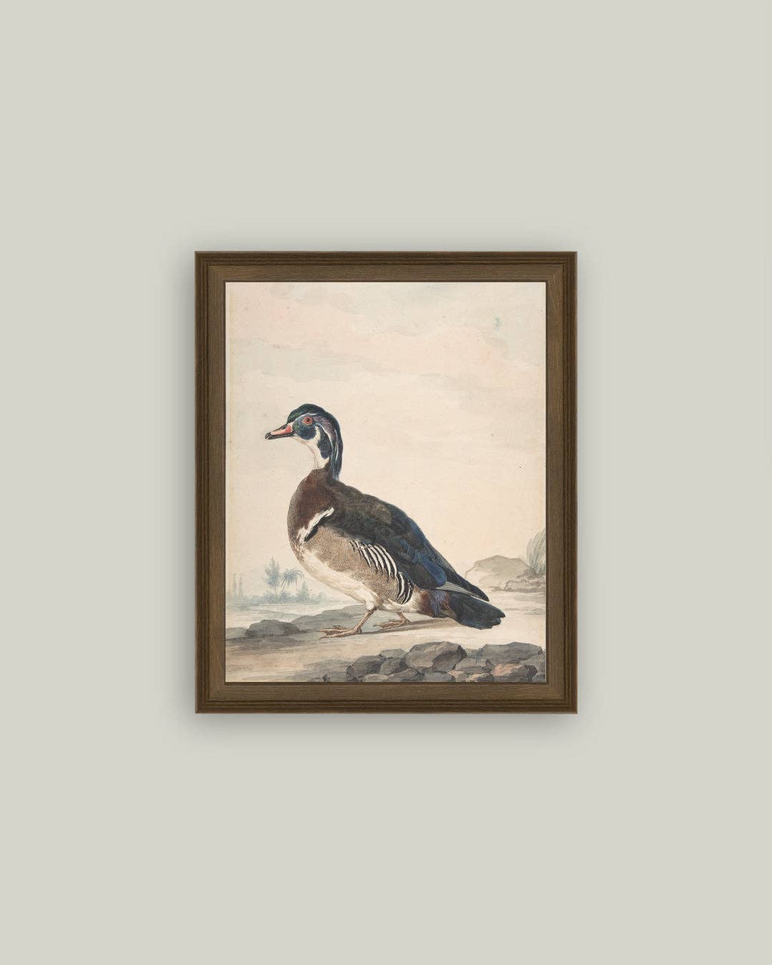 A Duck Framed Antique Art: 18x22