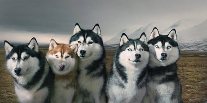 Dogs by Tim Flach