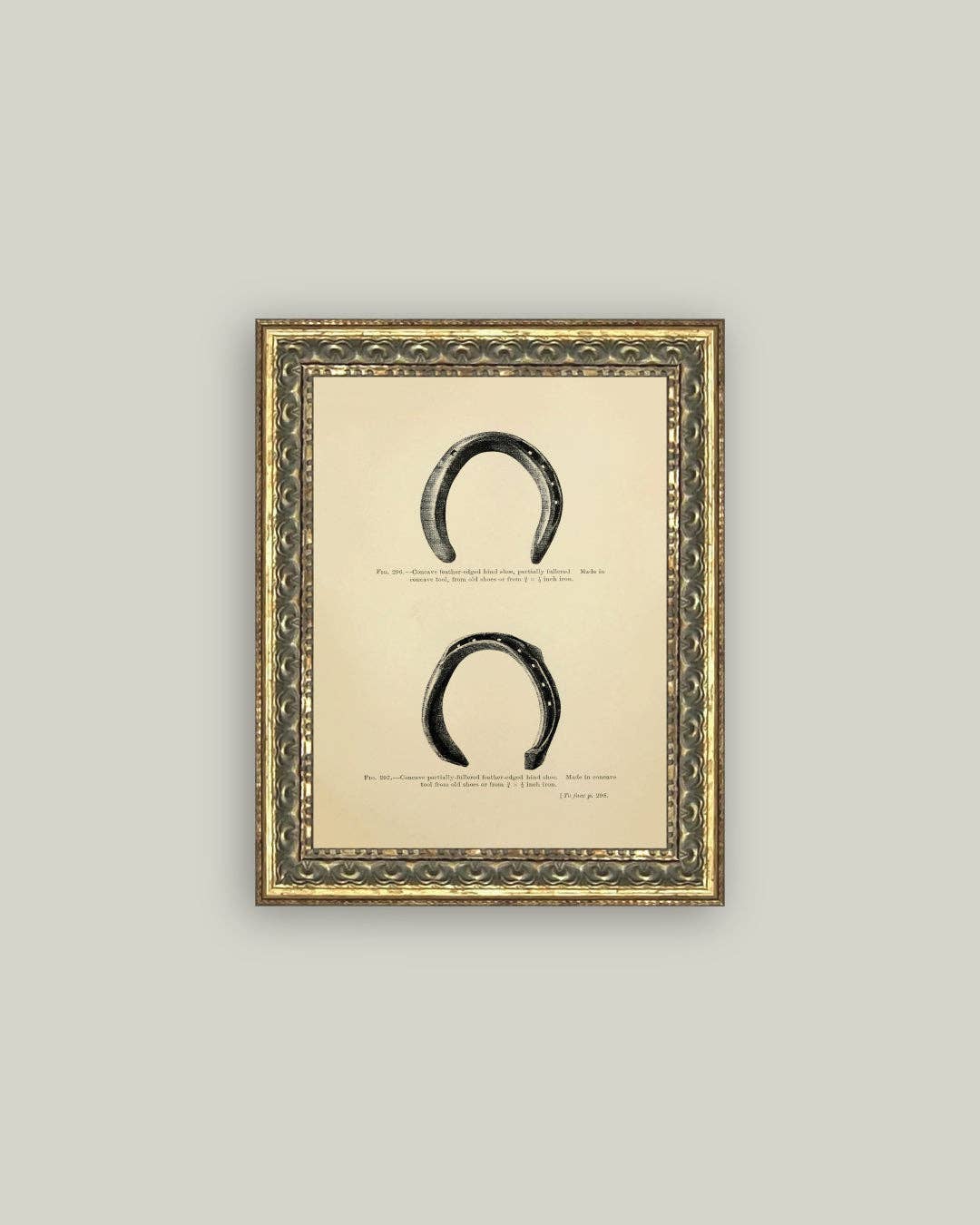 Horse Shoe Study: 8x10