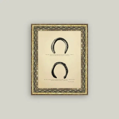 Framed Antique Prints and Photo Frames