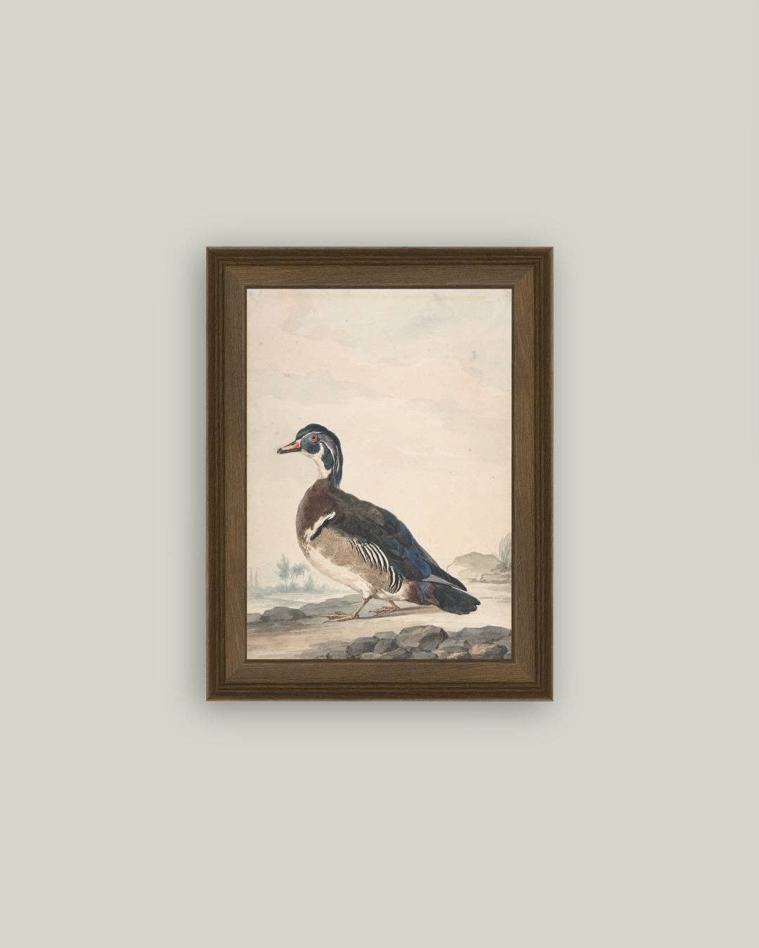 A Duck Framed Antique Art: 18x22
