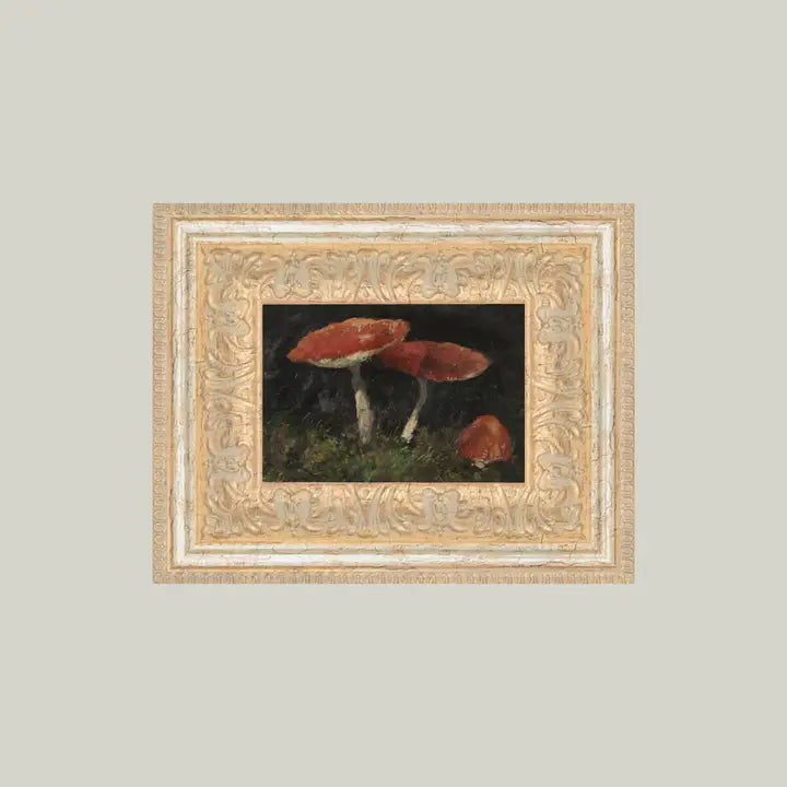Framed Antique Prints and Photo Frames