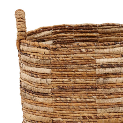 Rook Baskets