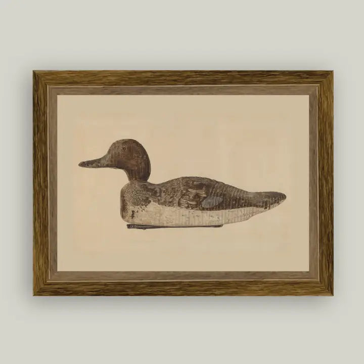 Framed Antique Prints and Photo Frames