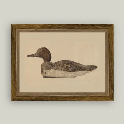 Framed Antique Prints and Photo Frames