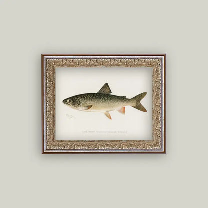 Framed Antique Prints and Photo Frames