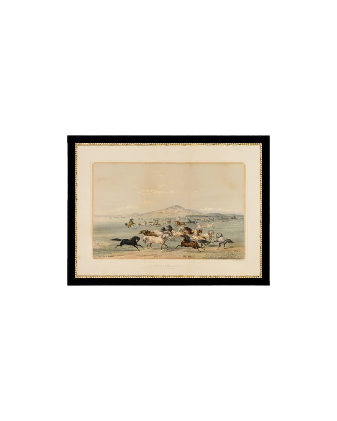 Field Of Horses Framed Antique Art