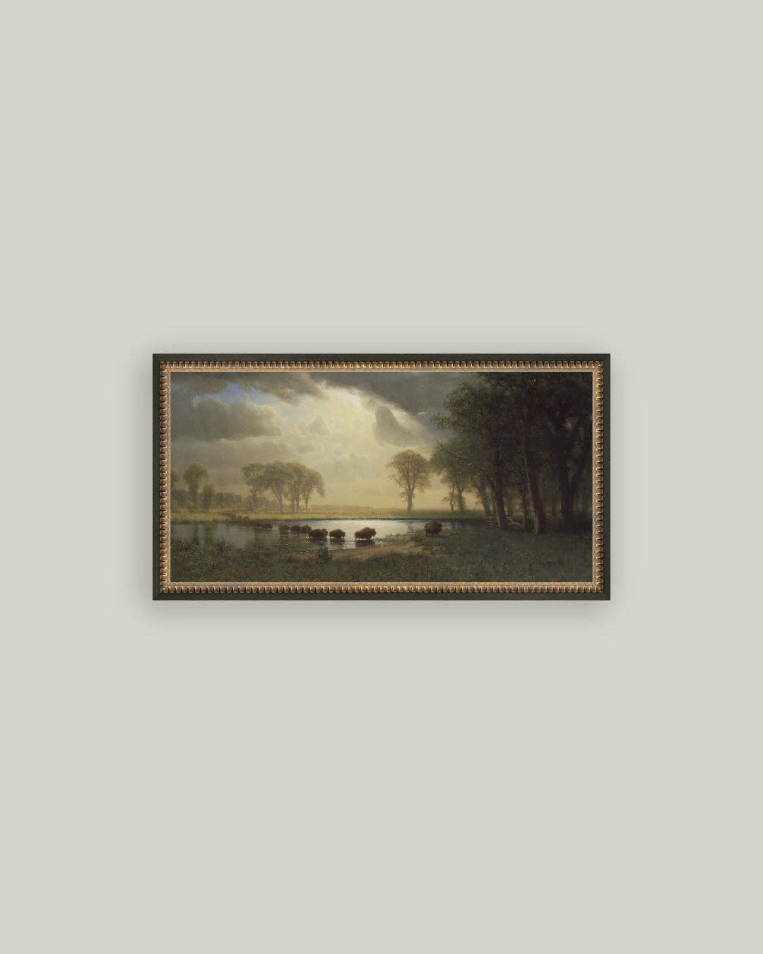 Buffalo Trail: 12x7