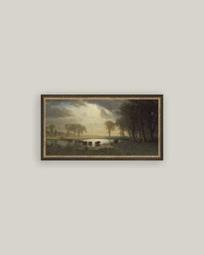 Buffalo Trail: 12x7