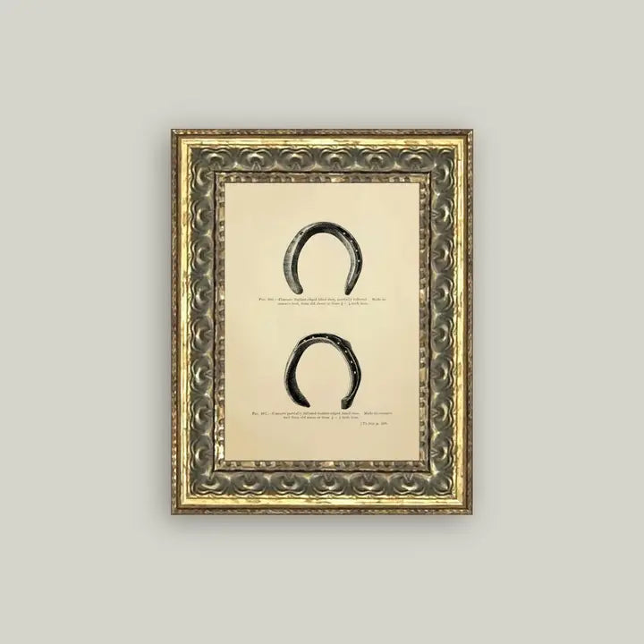 Framed Antique Prints and Photo Frames