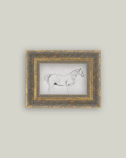 Horse Sketch Framed Antique Art: 7x5