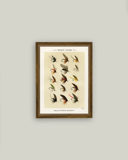 Trout Flies Framed Antique Art
