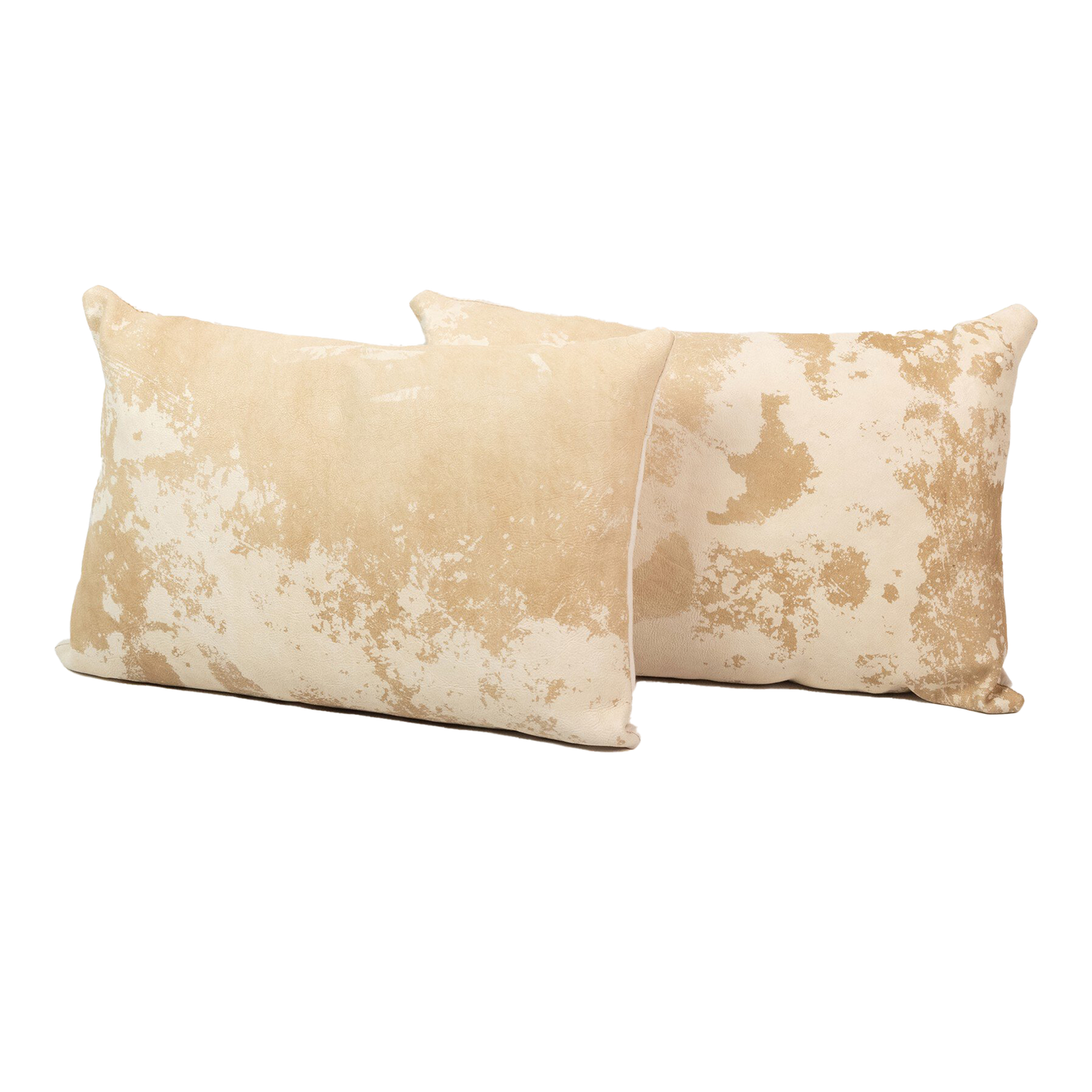 Harland Pillow Set of 2