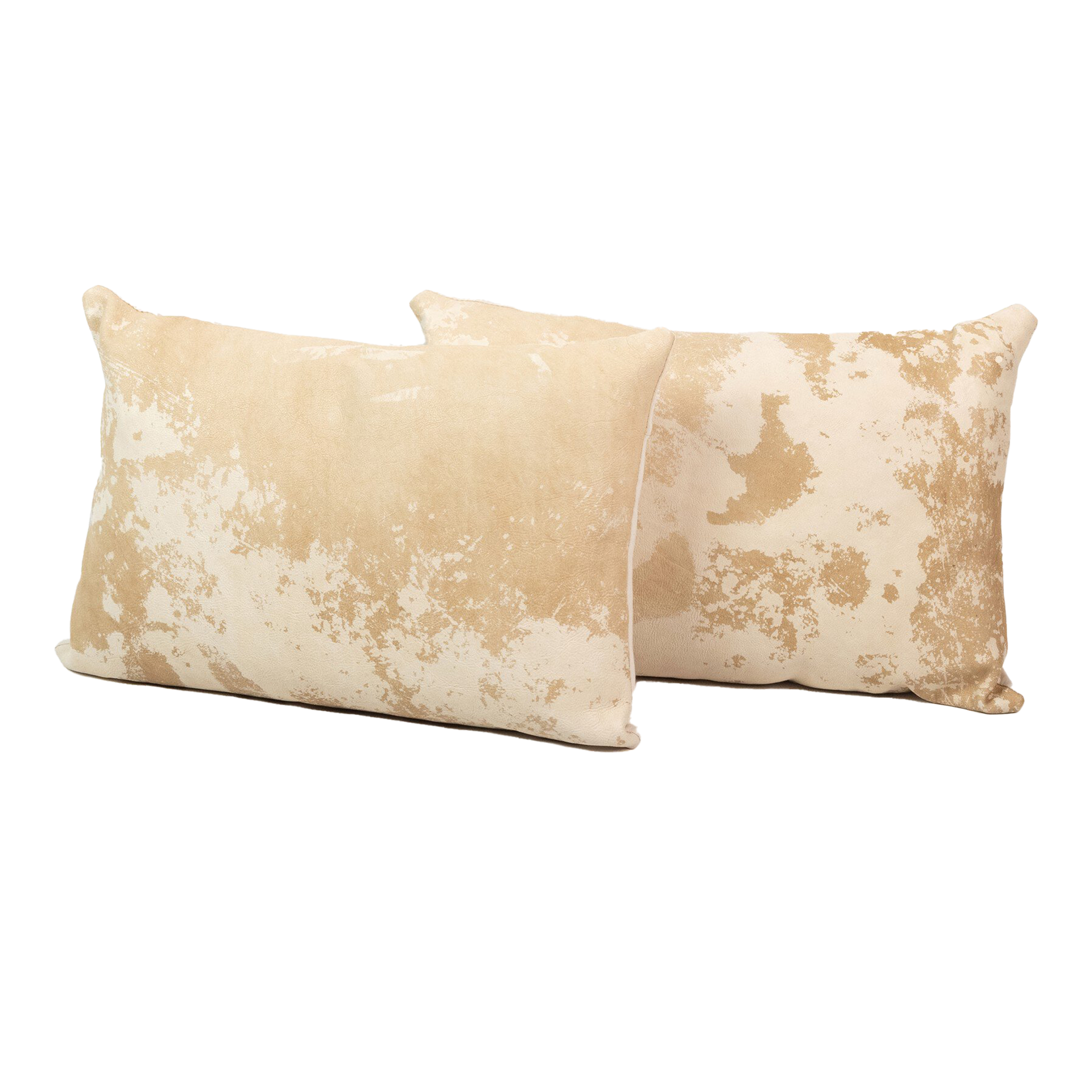 Harland Pillow Set of 2