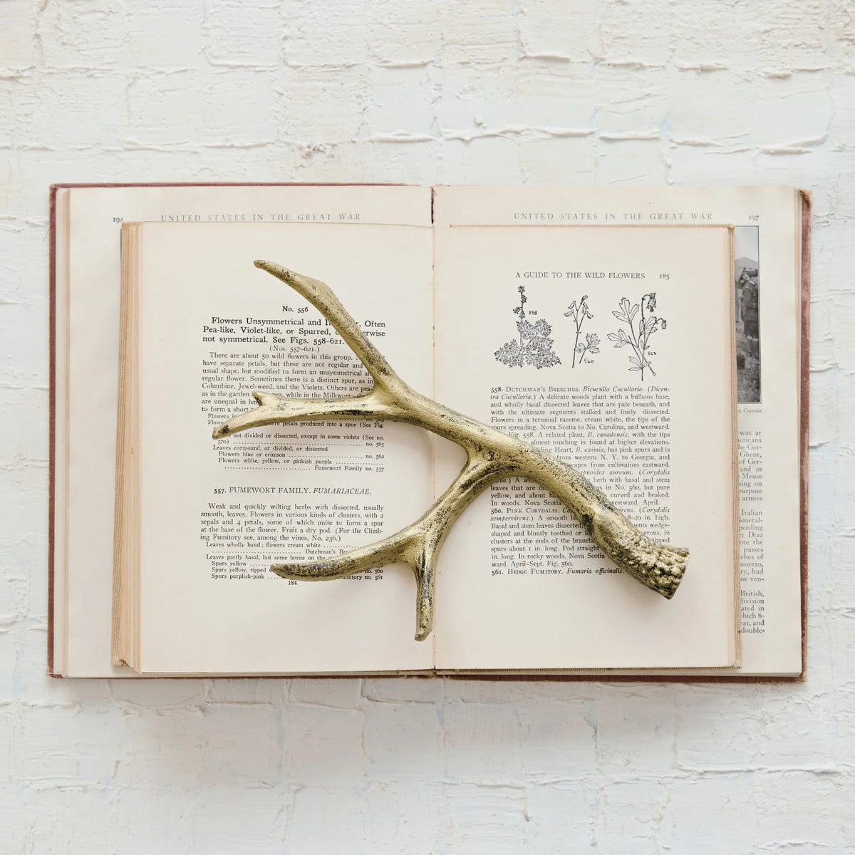 Cast Iron Antler