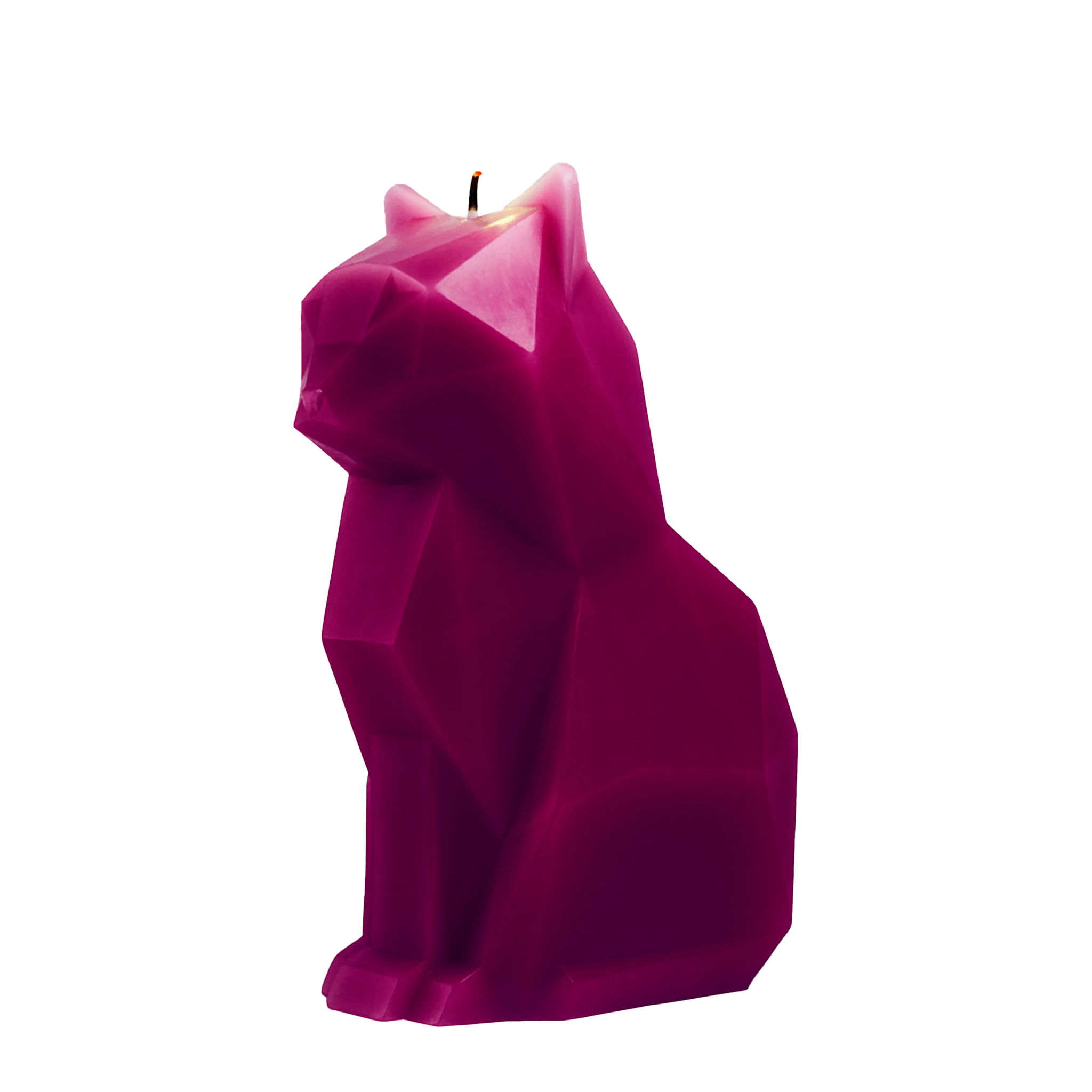 PyroPet Kisa Candle