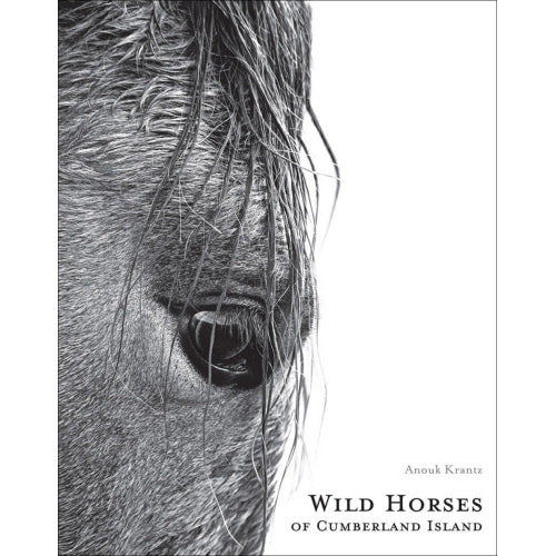 Wild Horses Of Cumberland Island Second