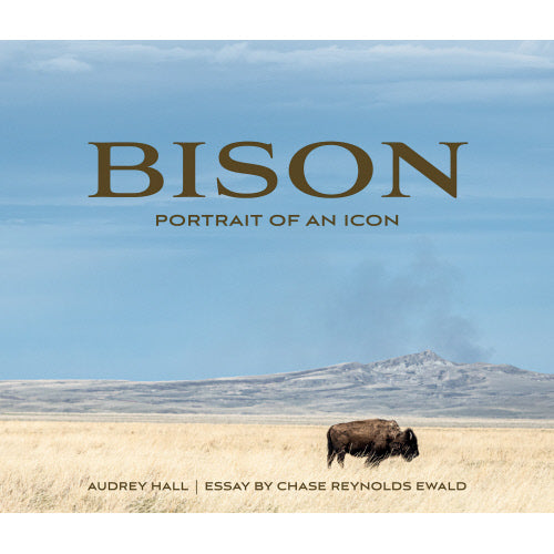 Bison: Portrait of an Icon