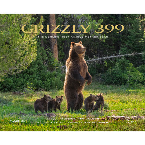 Grizzly 399